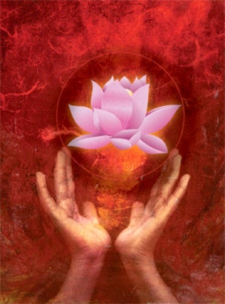 hands-with-lotus-keep
